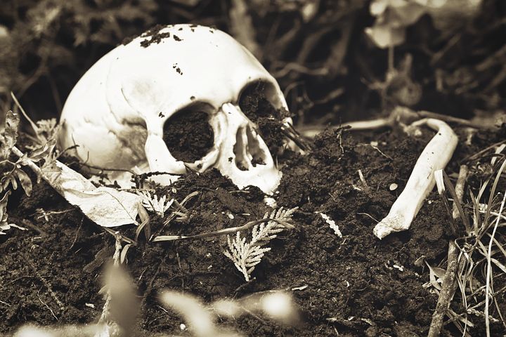 Photo of Human Skull partially buried