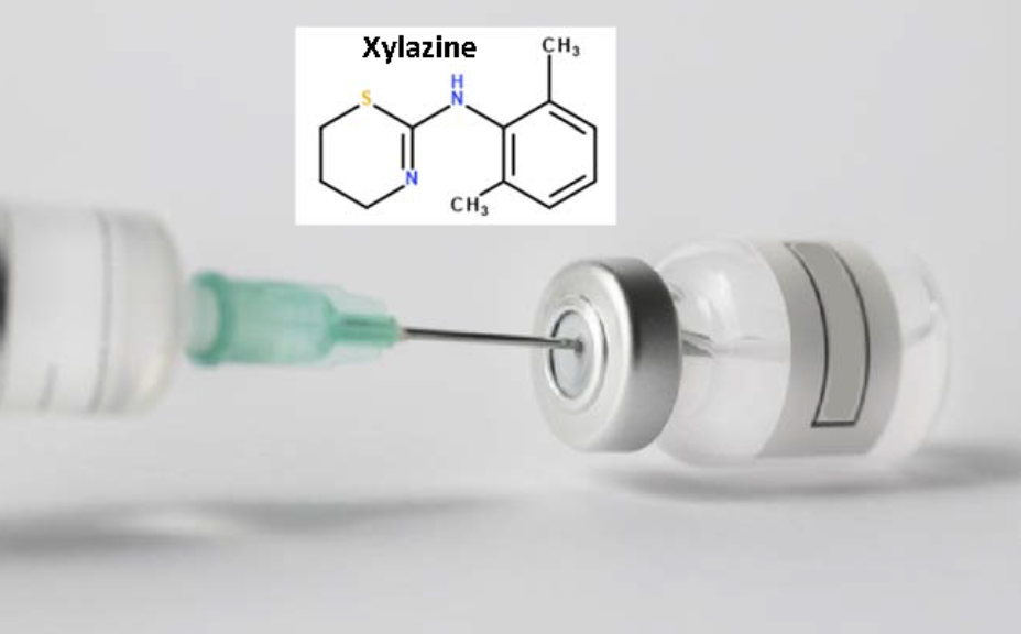 chemical diagram of xylazine molecule plus image of a syringe inserted into a vial containing a clear liquid.