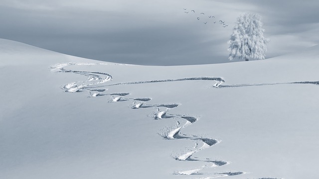 single track in fresh snow