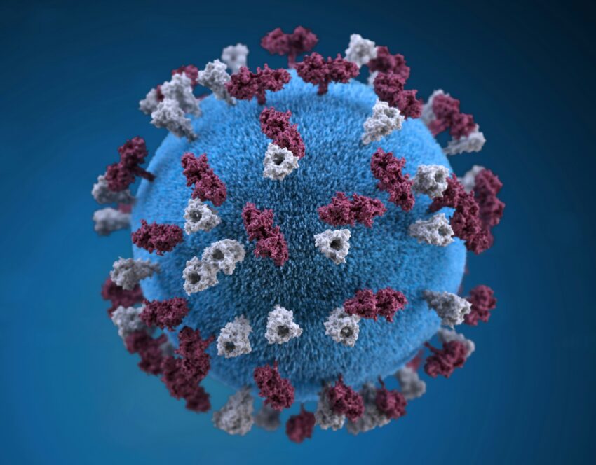 graphic image of a measles virion with maroon and gray tubercles on a spherical blue particle.